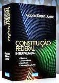 Constituição Federal Interpretada / Gabriel Dezen Junior